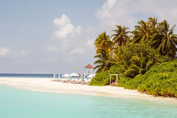 Tropical beach with lounge chairs and umbrellas by the sea, palm trees and greenery in the background