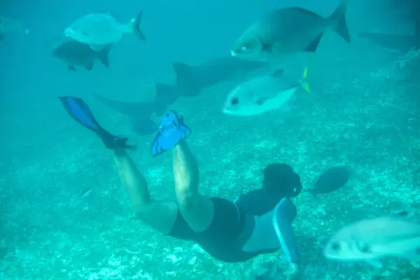A woman snorkels at the Hol Chan Marine Reserve coral reef in the outskirts of San Pedro village, in Ambergris Cay, Belize