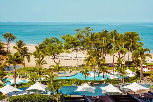 A resort area with palm trees, swimming pools, and a beach with the ocean in the background