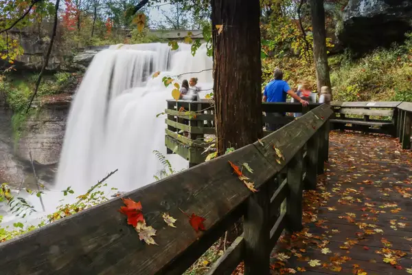 Visitors on a wooden viewing platform near a waterfall, surrounded by trees and scattered leaves.