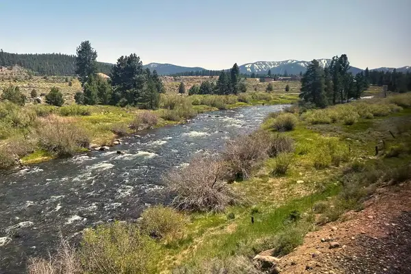 Scenic view from on board a train 