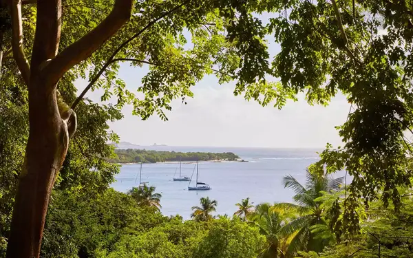 View of a bay surrounded by lush green trees, with boats on the water. Mustique Island.
