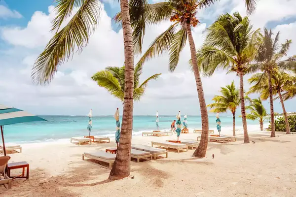 Beach with palm trees and lounge chairs by the ocean, a relaxing tropical setting