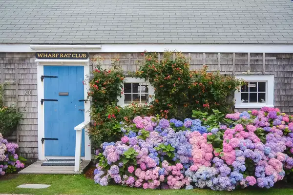 A building with a sign reading 