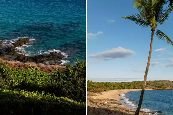 Two tropical coastal scenes, one with rocky waters and the other with a sandy beach and palm tree