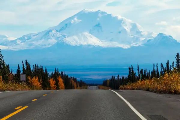 A road with trees on both sides and a mountain in the background