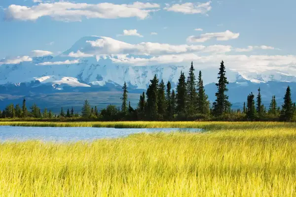 Mountain range with a lake and grassy meadow, trees in the foreground