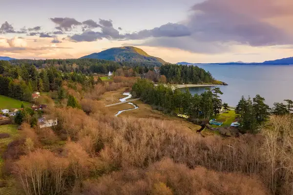 Wetland Slough on Lummi island, Washington.