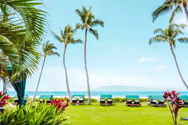 Cabanas under palm trees in Maui