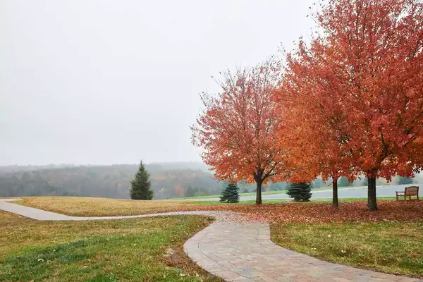 A walkway through Bethel Woods, in the Catskills, with bright orange leaves on trees
