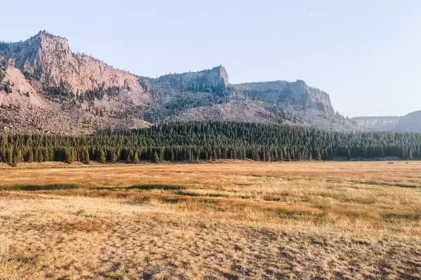 Mountains behind a forest