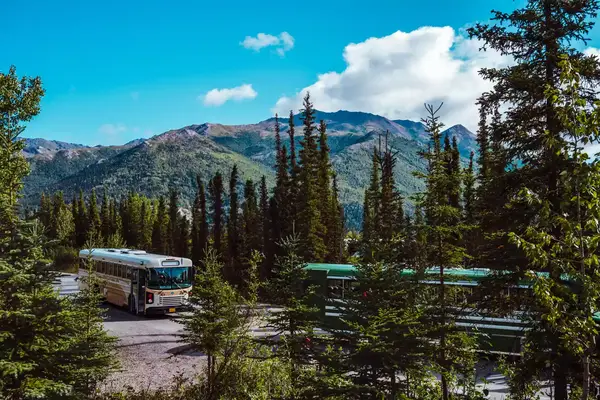 Busses in Denali National Park