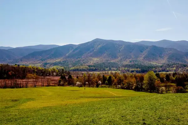 Fall foliage on rolling mountains