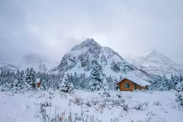 Cabin in Banff, Canada, in the winter
