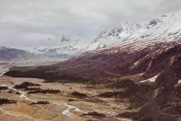 Aerial view of Denali National Park