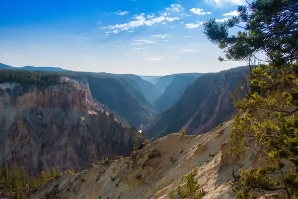 Large canyon in Yellowstone