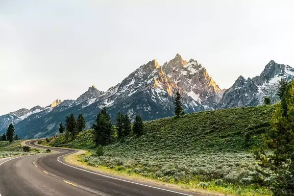 Road going through Grand Tetons