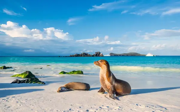 Galapagos Islands