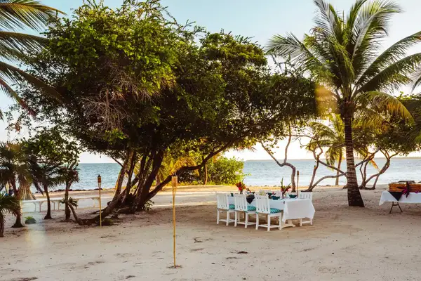 A table for dinner set up on the beach under palm trees