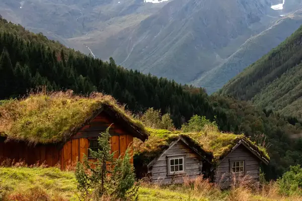 Grass thatched roofs in the mountains of Norway