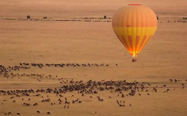 A hot air balloon flies over the Serengeti in Tanzania