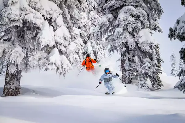 Revelstoke Mountain Resort skiers 