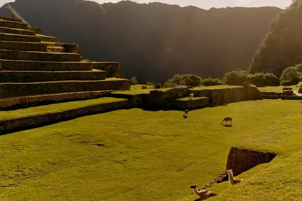 A partial view of Machu Picchu.