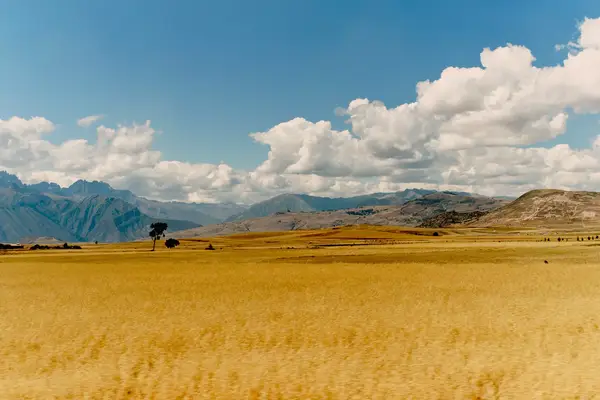 A golden field with mountains in the background in Peru.