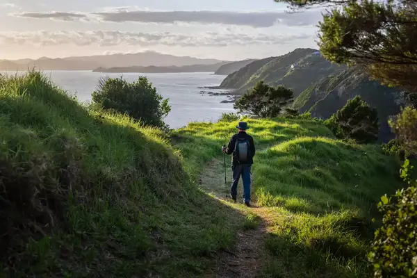 Person hiking on a path along a coastal hill with a view of the shoreline and sea