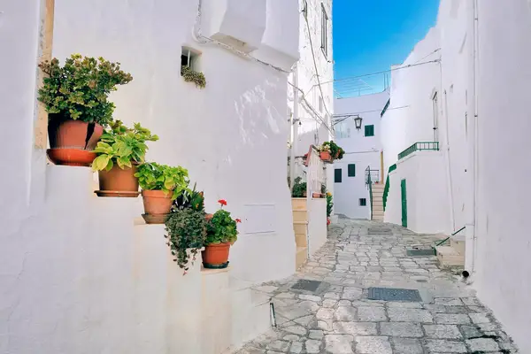 A charming alley in Ostuni, Italy, featuring white walls and potted plants on steps