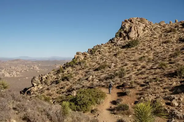 A solo hiker in Joshua Tree National Park