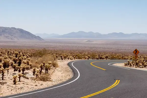 A road going through Joshua Tree park in California
