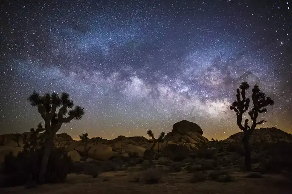 Joshua Tree National Park desert landscape under a starry night sky.