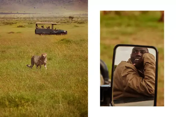 a cheetah and guide on safari in kenya
