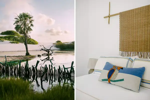 Pair of photos from Brazil, one showing a landscape,of water and trees, and one showing a detail of a bed in a hotel room