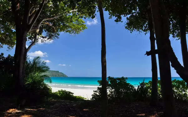 Radhanagar Beach on Havelock Island