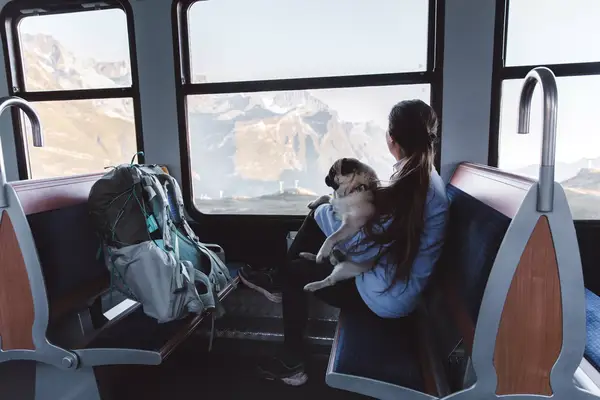 Woman backpacker and a dog riding on the mountain train in Swiss Alps