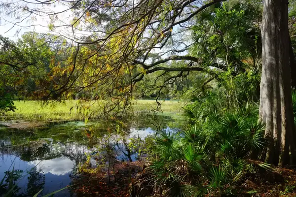 Rainbow Springs State Park Florida