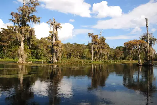 Wakulla Springs State Park, Florida