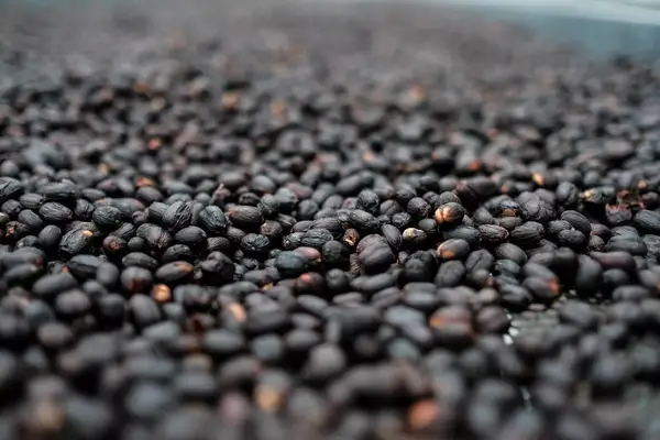 Chiriqui Highlands, coffee growers and local culture of Panama