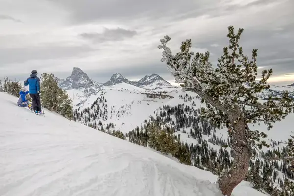 Found in the scenic Teton Valley, Grand Targhee and Teton Canyon are both north of Driggs, Idaho, and only 42 mile from Jackson Hole, Wyoming. There is both a x-country ski course 6 miles north of Driggs in Teton Canyon, and Grand Targhee ski resort is 12 miles north. There is lots of snow in this area in the winter as its location is on the west slope of the Teton Range. These photos are taken from ski trails at the Grand Targhee resort in January.