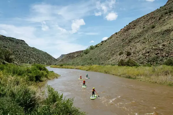 A group of four paddle boards on the Rio Grande river