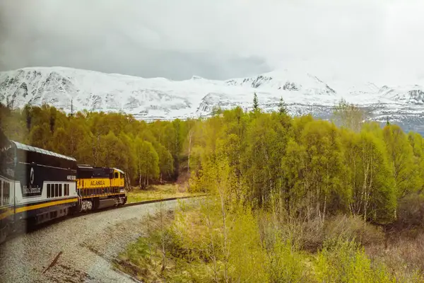 A train in the Alaskan wilderness