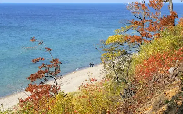 Trees with red leaves framing a beach