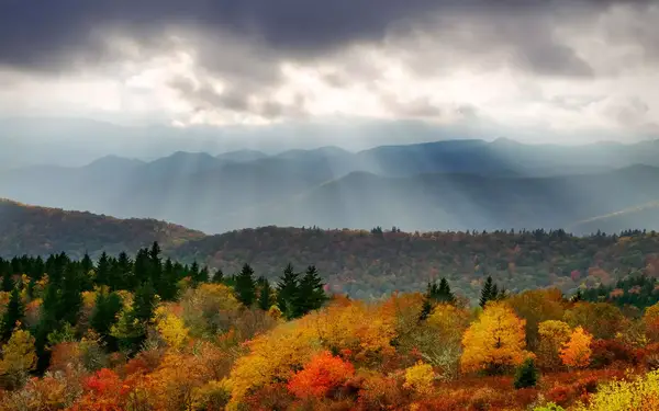 High-angle view of sun shining on fall foliage in mountains