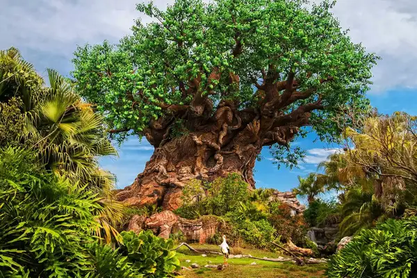 Tree of Life at Animal Kingdom at Disney World