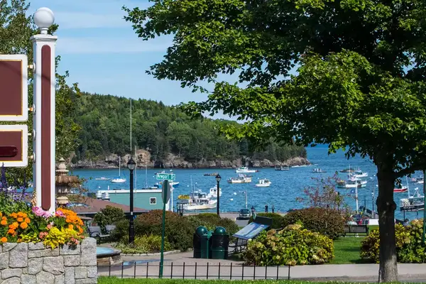 Boats anchored near a scenic coastal area with trees and landscaped surroundings