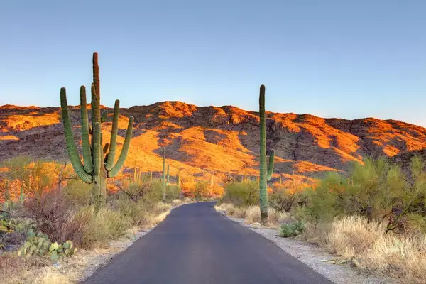 Saguaro National Park is a national park of the United States in southeastern Arizona.