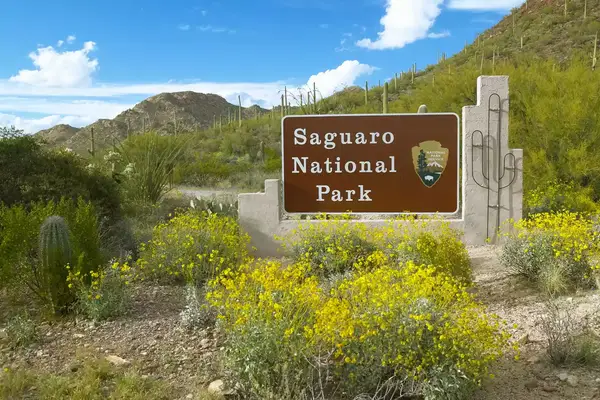 Sign for Saguaro National Park