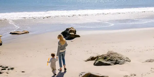 Amanda Kloots and Elvis hold hands and walk on the beach in Malibu 